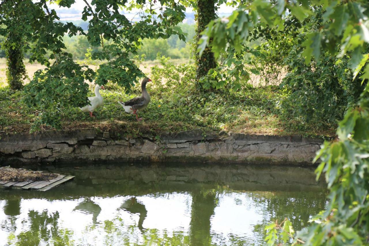 Chateau De La Frogerie Maulévrier Zewnętrze zdjęcie